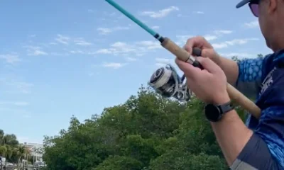 Treasure Island Report Video 0