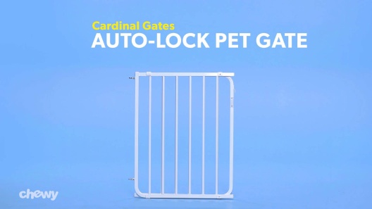 Play Video: Learn More About Cardinal Gates From Our Team of Experts