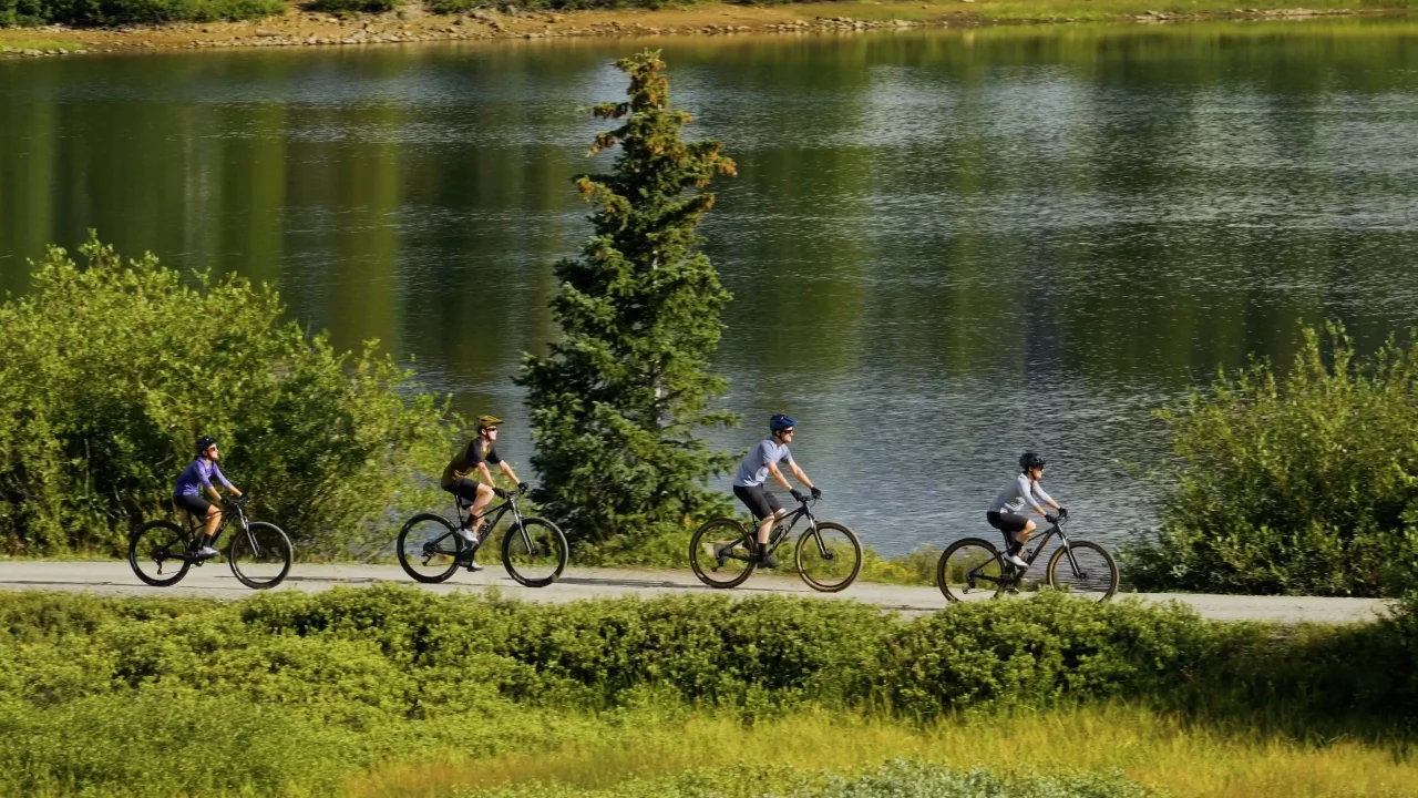 Talon (2025) | Giant Bicycles Japan 日本