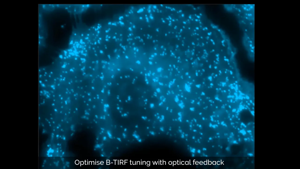 Dragonfly 高速共焦点顕微鏡システム - Andor - オックスフォード