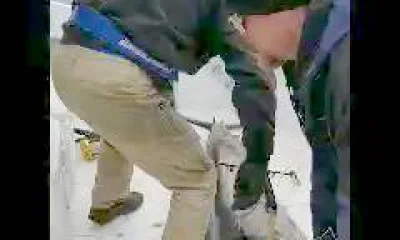 Norfolk Report Video 0