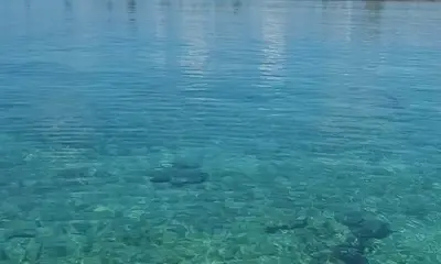 Quintana Roo Report Video 4