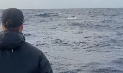 Jan Thiel Report Video 0