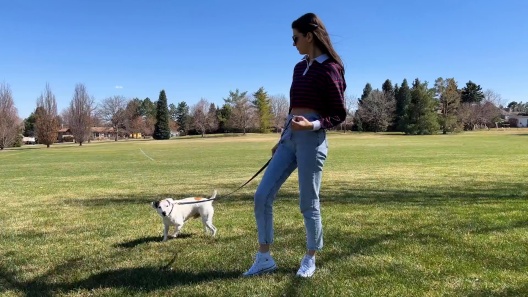 Play Video: Learn More About Euro-Dog From Our Team of Experts