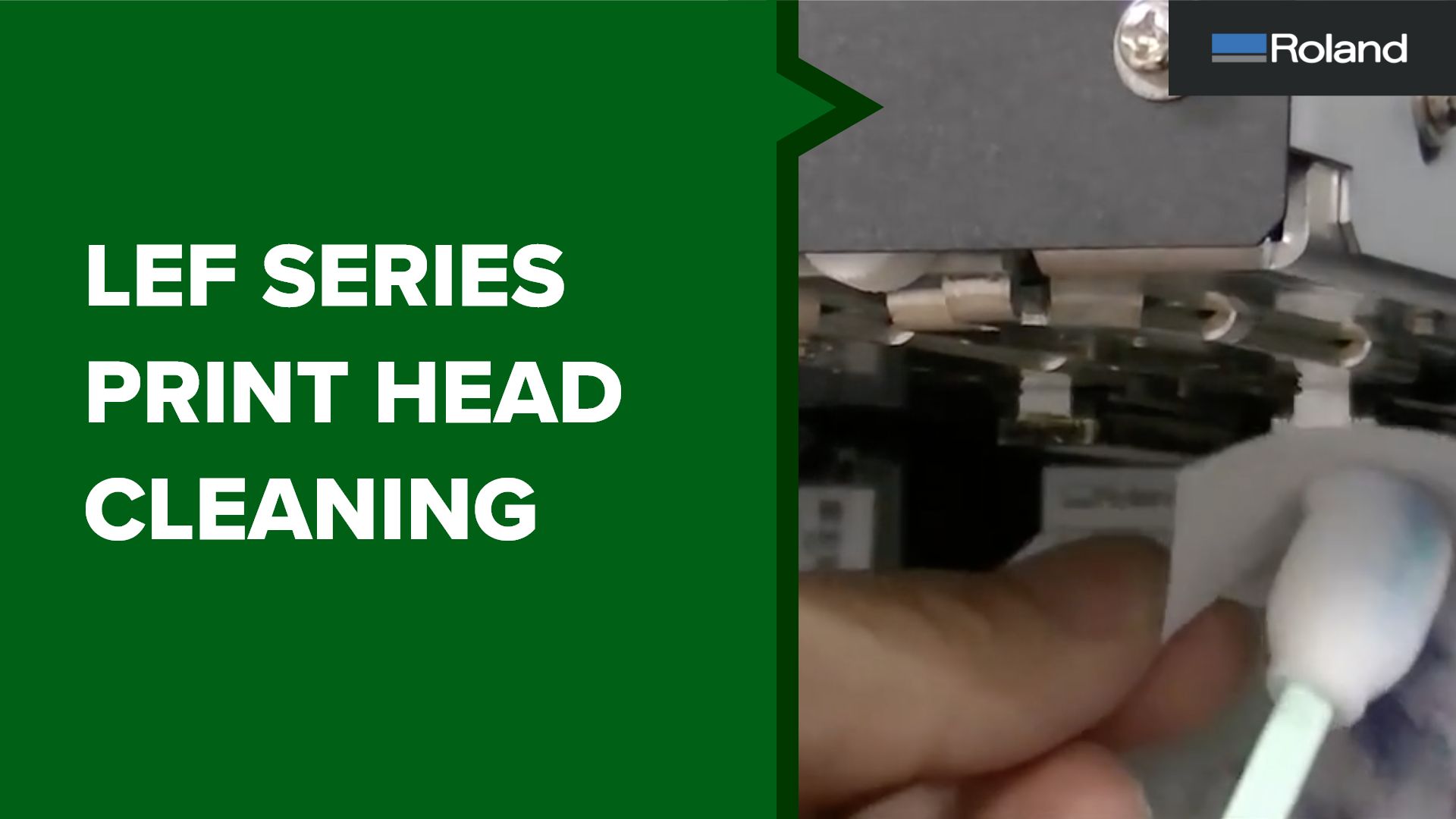 パルフェページ The Free DJ Spinz 808 (completely free download) – WavGrind