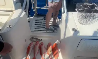 Lahaina Report Video 3