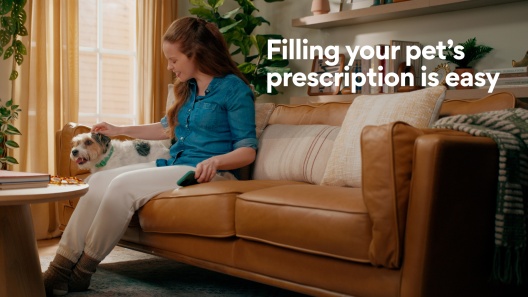 Famciclovir (Generic) Tablets