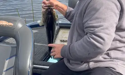 Branson Report Video 0