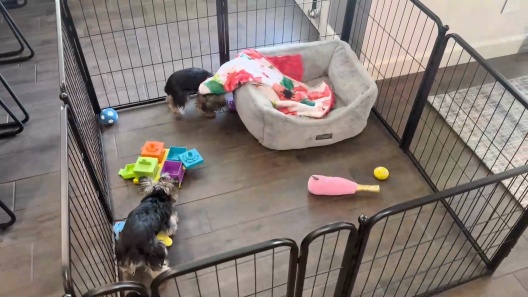 FXW Homeplus Indoor Dog Playpen