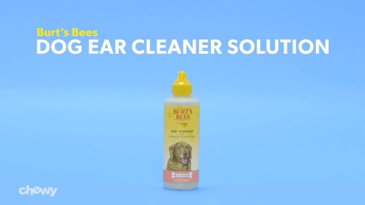 Zymox Ear Solution For Dogs Burt's Bees For Pets Care Plus+