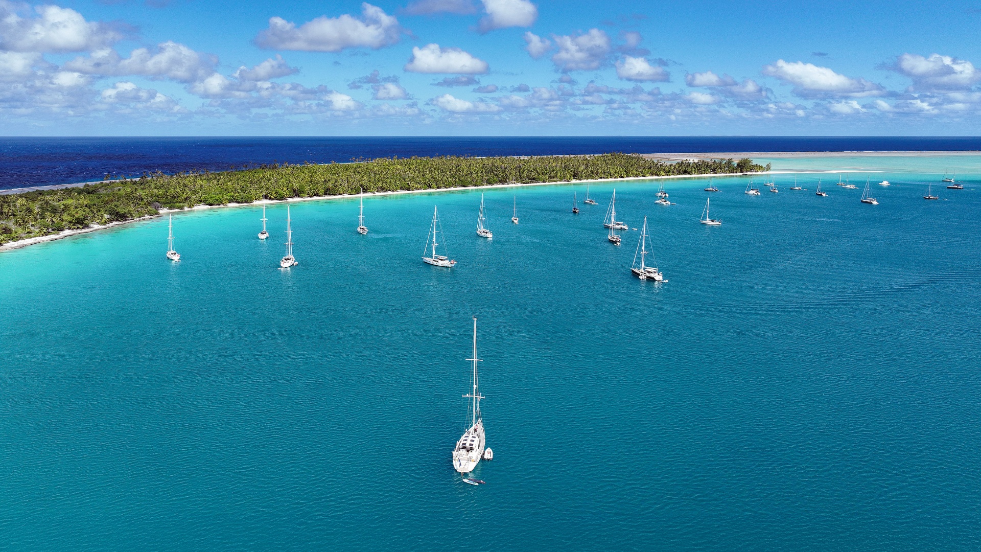 Exploring the world with Oyster Webinar