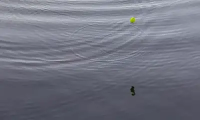 Lake Worth Report Video 0