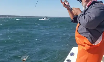 Montauk Report Video 0