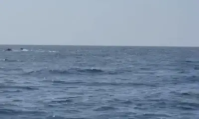 Fujairah Report Video 1