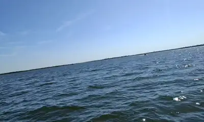 first time its a charm! 