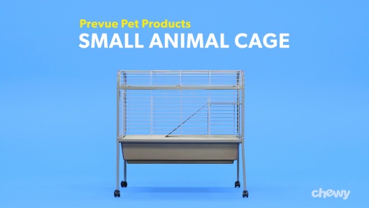 Play Video: Learn More About Prevue Pet Products From Our Team of Experts
