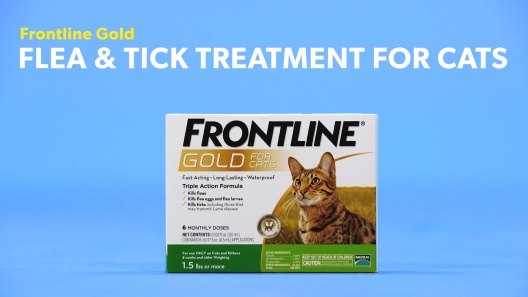 Play Video: Learn More About Frontline Gold From Our Team of Experts