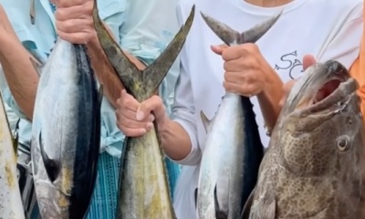 Key Largo Report Video 0