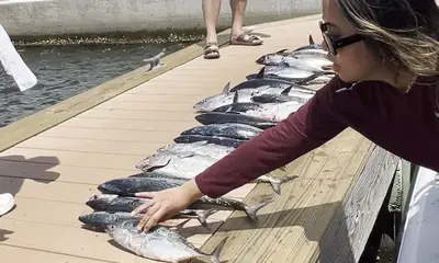 West Palm Beach Report Video 0