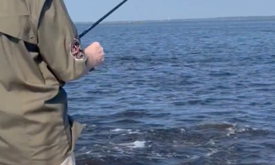 Pass Christian Report Video 0