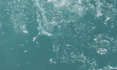 Jensen Beach Report Video 1