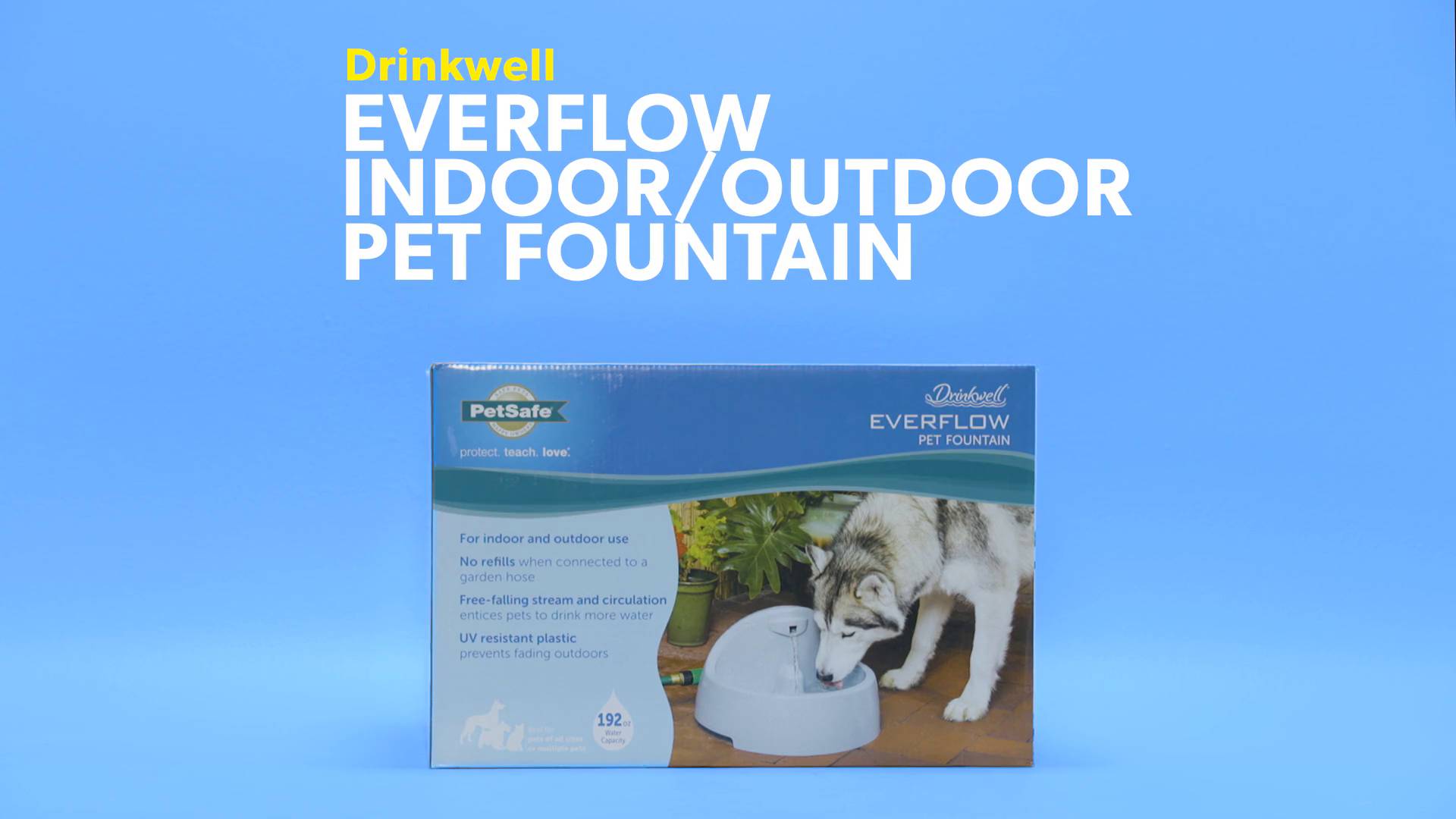 Drinkwell everflow hot sale pet fountain