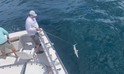 Nags Head Report Video 0