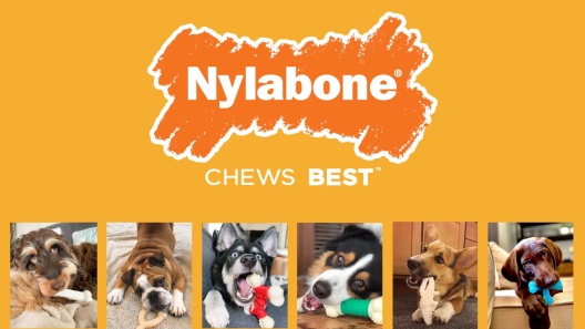 Nylabone Strong Chew Rubber Senior Dog Chew Toy Beef Flavor X-Large/Souper  - 50+ lbs, Orange (1 Count)