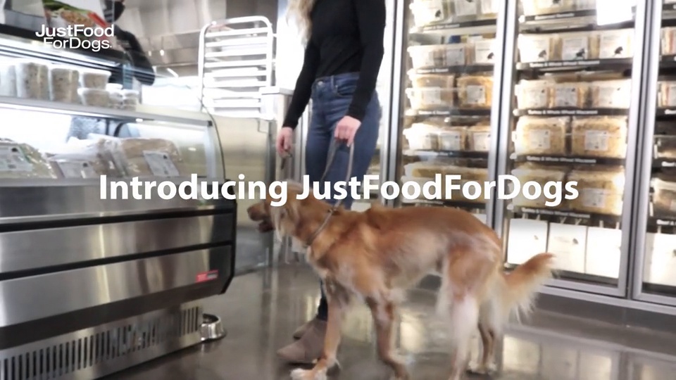 Just food clearance for dogs renal