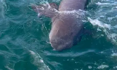 Paquera Report Video 1