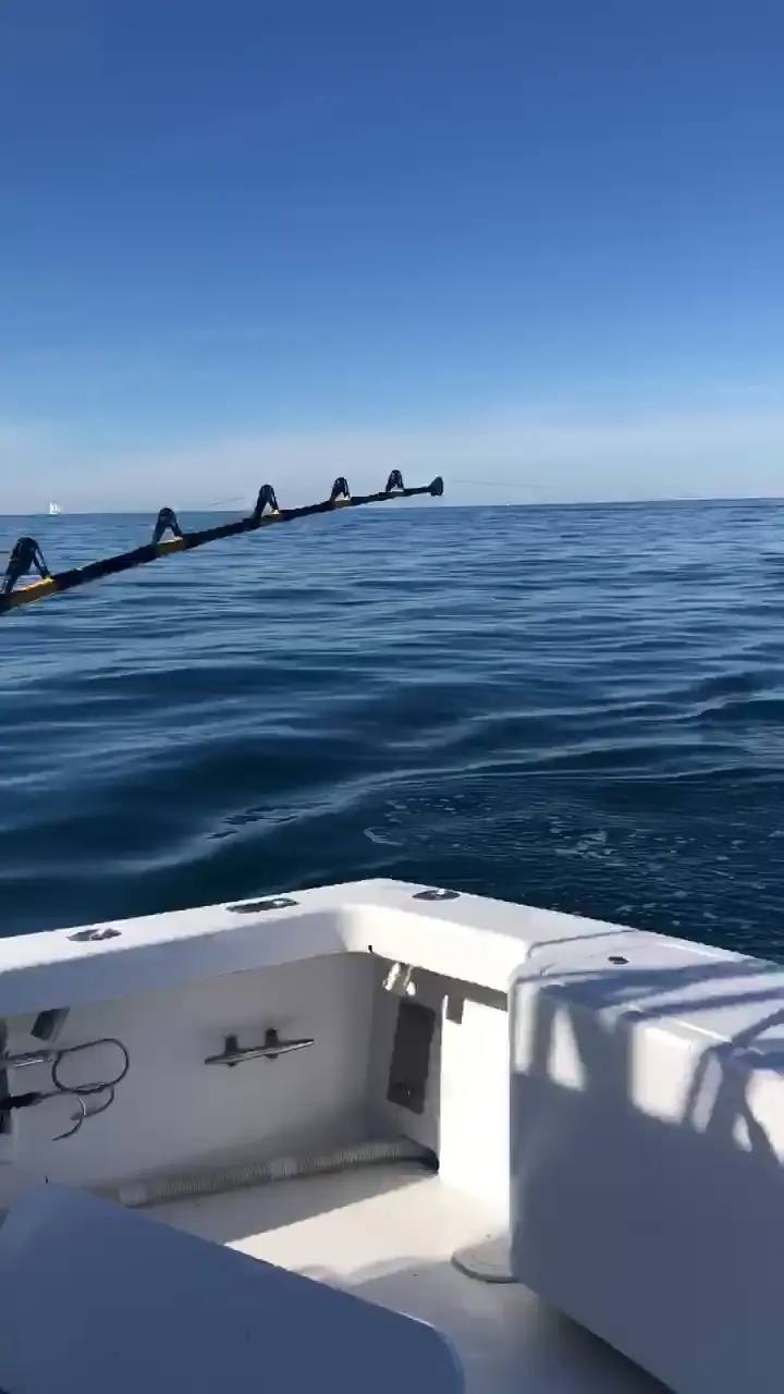 Business Card: Reel Time Charters