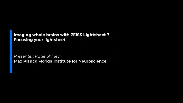 Tutorial: Focusing the Lightsheet