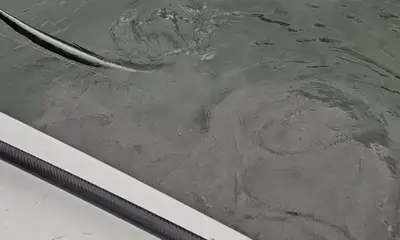 A great day catching fish on the water.