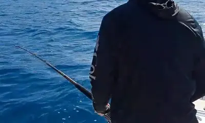 San Jose del Cabo Report Video 0