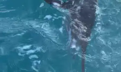 February fishing trip