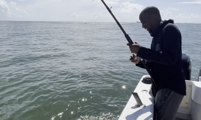 Variety of yummy fish! 