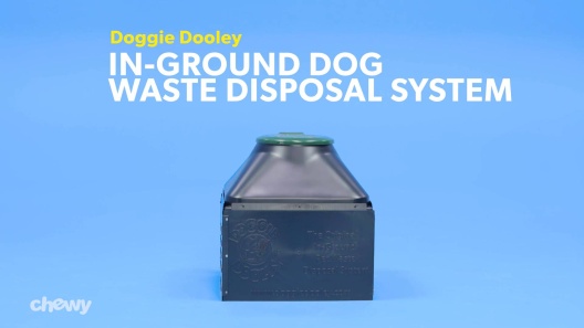 Play Video: Learn More About Doggie Dooley From Our Team of Experts