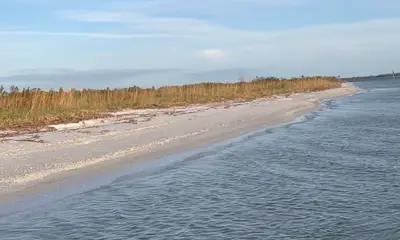 St. Petersburg Report Video 0