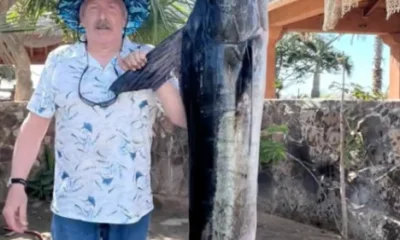 San Jose del Cabo Report Video 0