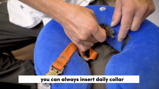 Bencmate Protective Inflatable Soft Pet Recovery Does Not Block Vision Recovery Collar for Dogs & Cats