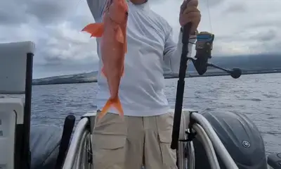 Hawaii Report Video 2