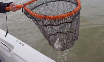 Houston Report Video 0