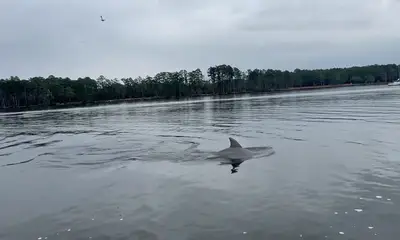 Fishing Trip