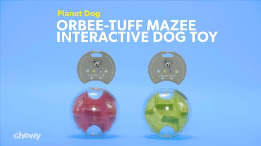 Play Video: Learn More About Planet Dog From Our Team of Experts