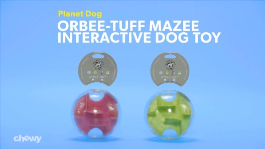 Outward Hound - Orbee-Tuff Mazee Puzzle Dog Toy – Des Moines IA