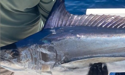 Rapport vidéo Calheta 3