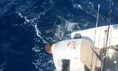 San Jose del Cabo Report Video 1