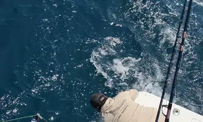 La Paz Видео отчет 1