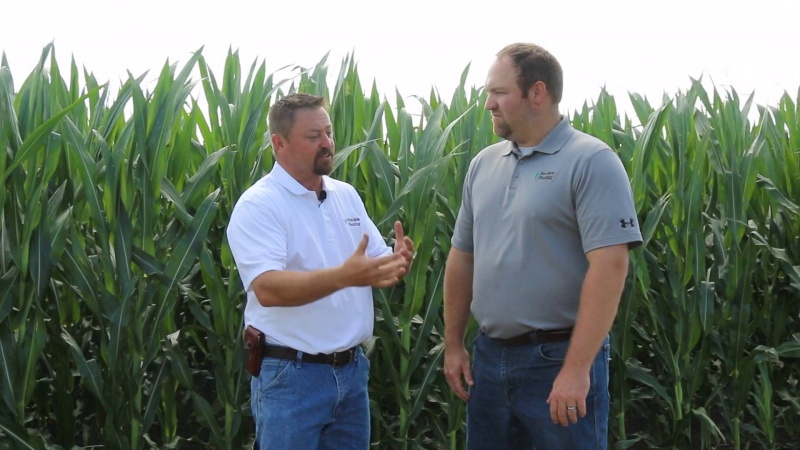 Agronomic Insights Episode 4