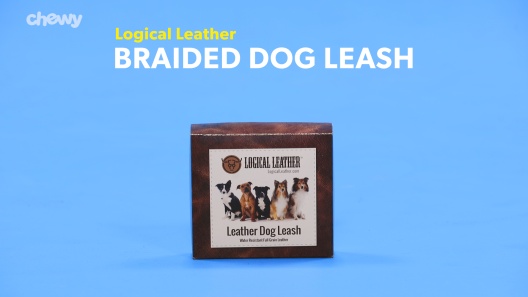 Play Video: Learn More About Logical Leather From Our Team of Experts